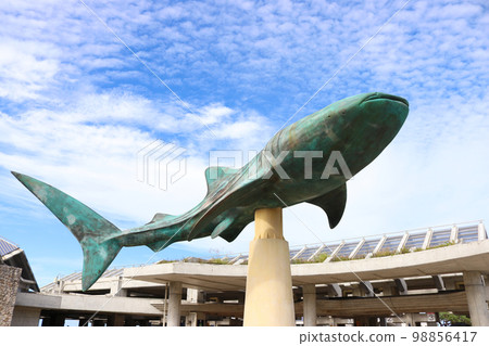 Miumi Aquarium Okinawa Sightseeing 98856417