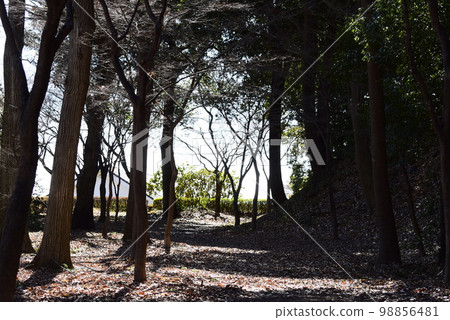 群馬桐生山上城跡 98856481