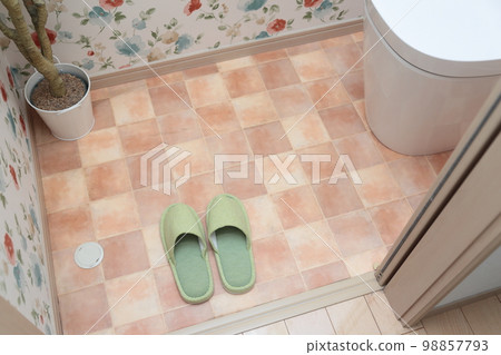 slippers in the toilet slippers in the toilet 98857793