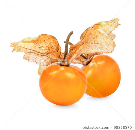 Cape gooseberry, physalis isolated on white background 98858570