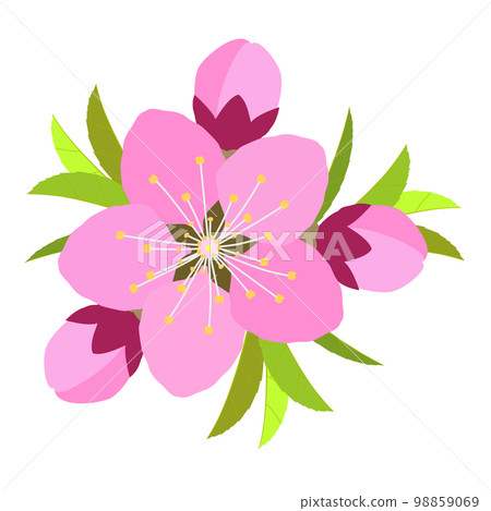 桃花葉裝飾圖 桃花葉裝飾圖 98859069