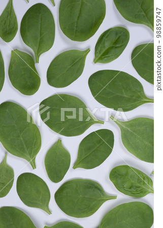 background of spinach leaves on a white background,healthy food concept background of spinach leaves on a white background,healthy food concept 98859747