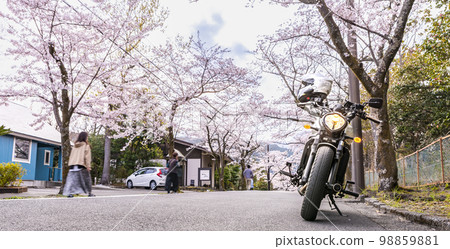 櫻花樹隧道自行車遊覽靜岡縣伊東市八幡野 98859881