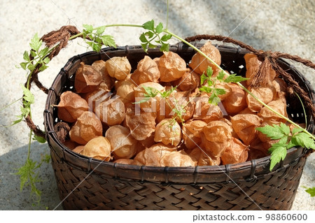 Ripe nut Ripe nut 98860600