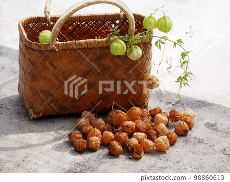 Ripe nut Ripe nut 98860613