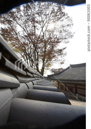 寺院風光 98861003