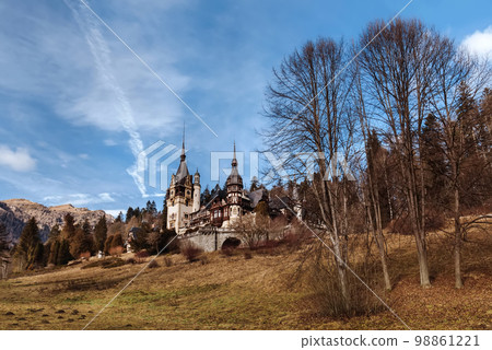 Peles Castle in Woods of Carpathian Mountains Peles Castle in Woods of Carpathian Mountains 98861221