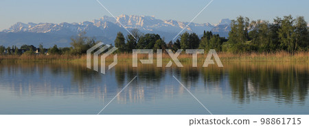 Spring scene in Zurich Canton, Switzerland. 98861715