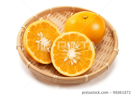 鹿兒島縣的名產柑橘紅甘夏 98861872