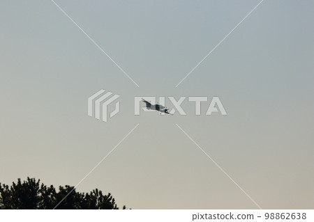 自衛隊飛機飛行訓練 98862638