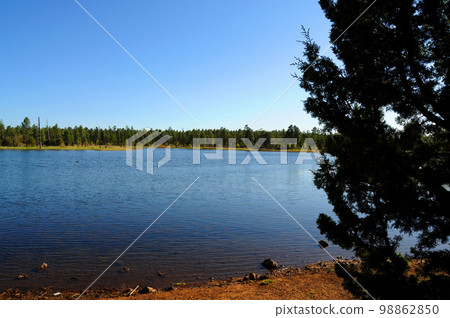 Lake of the woods Arizona Lake of the woods Arizona 98862850