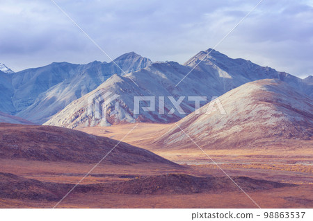 Mountains in tundra Mountains in tundra 98863537