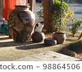 Cat on Pottery [Late Autumn Dusk] 98864506