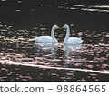 Swan Lake [Heart Mark] 98864565