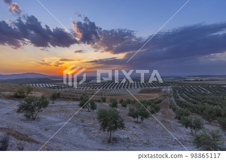 typical Andalusian landscape during sunset, Spain 98865117