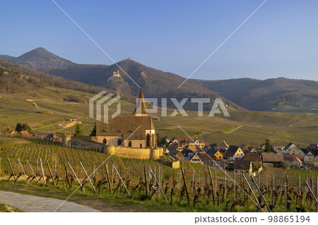Hunawihr village with castle ruins near Ribeauville, Alsace, France 98865194