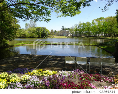 Waterfront forest bathing with flowers [early summer] 98865234