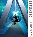 Alice's Mysterious Triangular Room 98865235