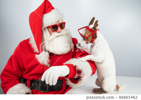Portrait of santa claus in sunglasses and dog jack russell terrier in rudolf reindeer ears on a white background. Portrait of santa claus in sunglasses and dog jack russell terrier in rudolf reindeer ears on a white background. 98865462