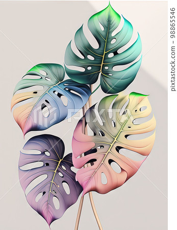 Rainbow Monstera Leaf Texture Exotic Tropical... - Stock Illustration  [98865546] - PIXTA