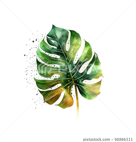 Watercolor Palm Leaf Isolated, Monstera Leaf, Generative AI Illustration Watercolor Palm Leaf Isolated, Monstera Leaf, Generative AI Illustration 98866311