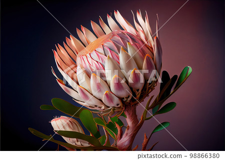 Protea Flower, African Protea, Abstract Generative AI Illustration 98866380
