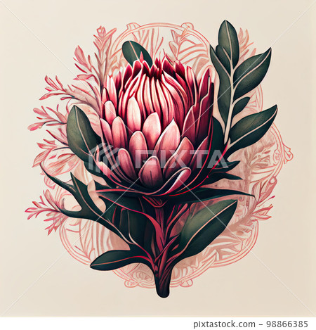 Protea Flower Isolated, African Protea Drawing Imitation, Abstract Generative AI Illustration 98866385