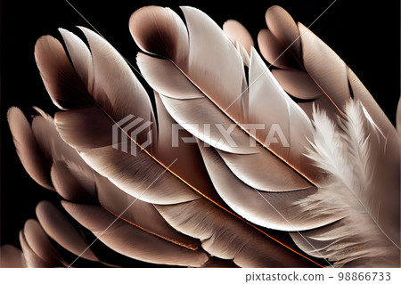 Goose Feathers Background, Brown Plume , Wings Texture, Generative Ai Illustration Goose Feathers Background, Brown Plume , Wings Texture, Generative Ai Illustration 98866733