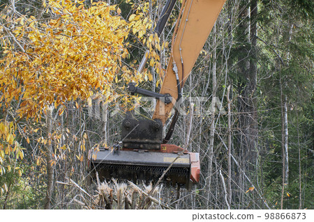 Forestry mulcher excavator clears roadside from small trees and shrubs. 98866873