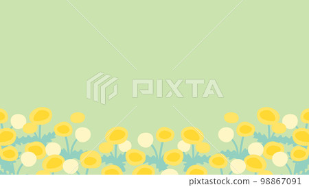 A field where dandelions bloom (16:9) 98867091