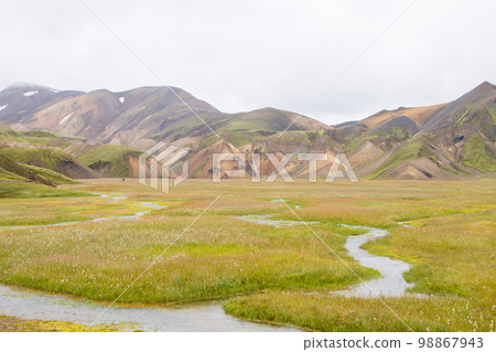 Landmannalaugar area landscape, Fjallabak Nature Reserve, Iceland 98867943