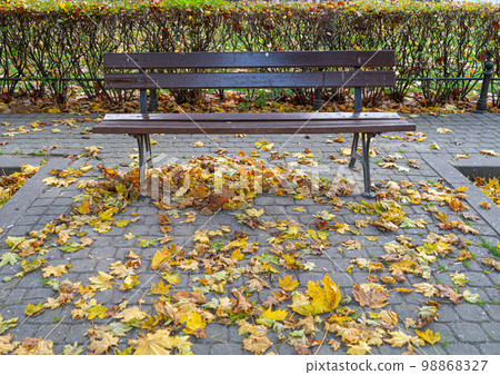 Old wooden bench in autumn park, outdoor chair, urban public furniture, empty plank seat, comfortable bench Old wooden bench in autumn park, outdoor chair, urban public furniture, empty plank seat, comfortable bench 98868327
