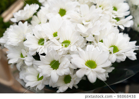 White Chrysanthemum Flower Closeup, Blurred Autumn Flowers, Chrysanthemum with Selective Focus 98868438