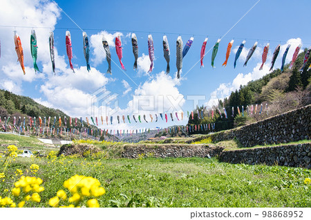 Carp streamer 98868952