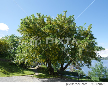 Landscape of Norway㉙ 98869026