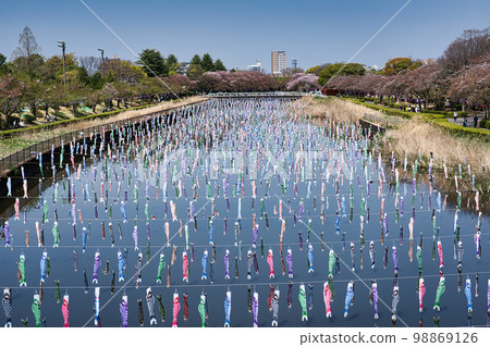 Carp streamer 98869126