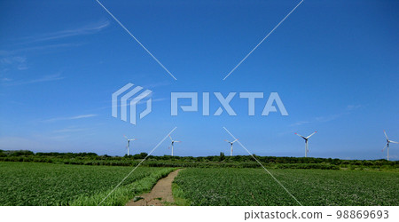 初夏的景象 綠色的田野和深藍的天空 從石狩灣沿岸看到的用於風力發電的大型風力渦輪機 98869693
