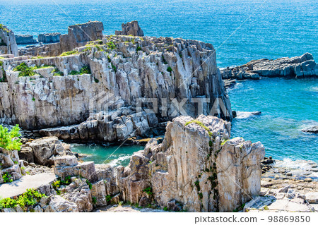 Cliffs of Tojinbo, Fukui Prefecture　　 98869850