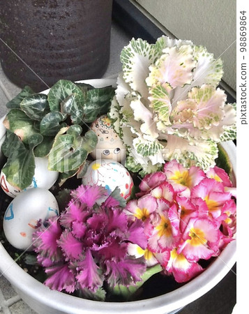 Egg and spring group planting 98869864