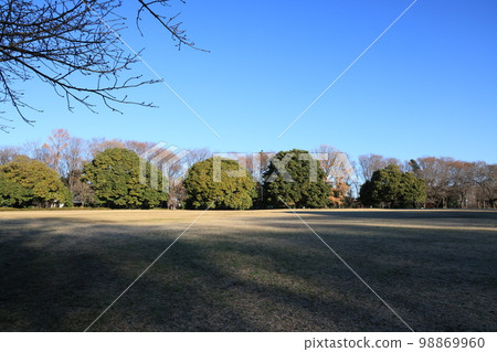埼玉市北區市民之森的風景 埼玉市北區市民之森的風景 98869960