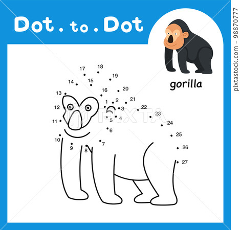 Dot to dot educational game and coloring book of gorilla animal cartoon for preschool kids activity about learning counting number and handwriting practice worksheet. vector illustration Dot to dot educational game and coloring book of gorilla animal cartoon for preschool kids activity about learning counting number and handwriting practice worksheet. vector illustration 98870777