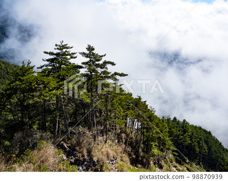 Landscape of Southern Cross-Island Highway in Taitung, Taiwan. 98870939
