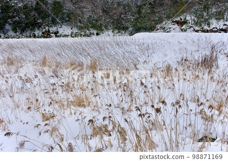 Scenery of snow on the river 98871169