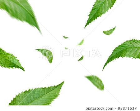 Green Floating Leaves Flying Leaves Green Leaf Dancing, Air Purifier Atmosphere Simple Main Picture. Green Floating Leaves Flying Leaves Green Leaf Dancing, Air Purifier Atmosphere Simple Main Picture. 98871637