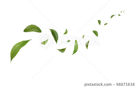 Green Floating Leaves Flying Leaves Green Leaf Dancing, Air Purifier Atmosphere Simple Main Picture. 98871638
