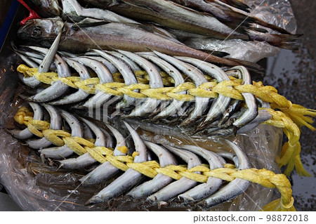 fish fish 98872018