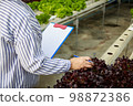 Asian senior woman farmer working in hydroponics vegetable farm 98872386