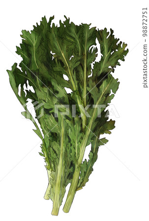 花環菊花插圖素材 花環菊花插圖素材 98872751