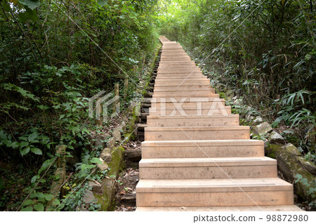 高雄山的樓梯 高雄山的樓梯 98872980