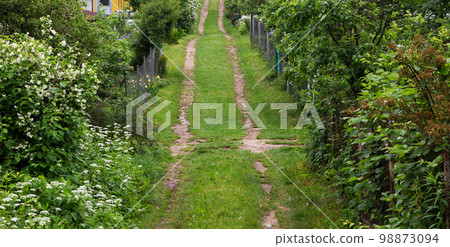 Narrow dirt road in the village covered with green grass. Narrow dirt road in the village covered with green grass. 98873094